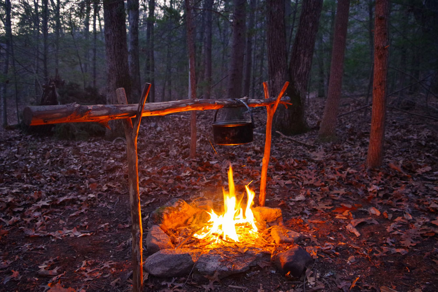 Top 9 EDC Essentials for Survival in the Wild